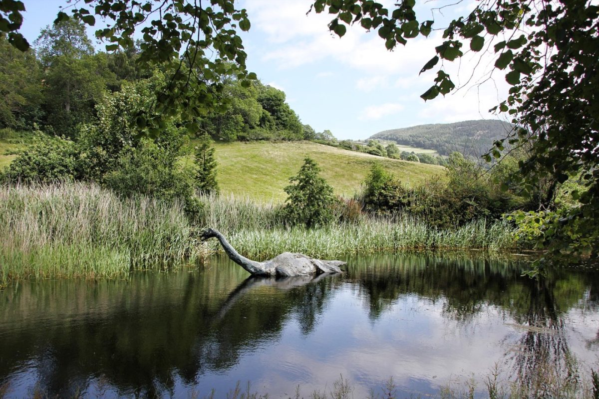 Avis : Castle Cruises sur le Loch Ness