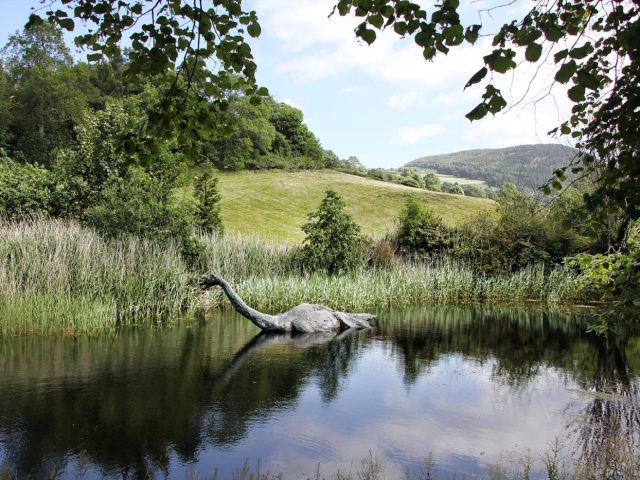 Avis : Castle Cruises sur le Loch Ness