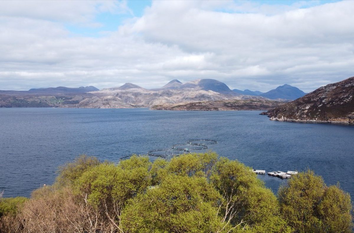 B&B ou auberge près du Loch Ness : guide de choix