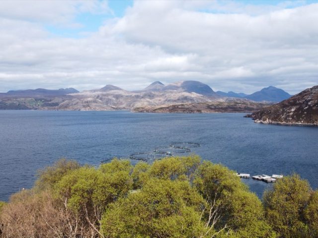 B&B ou auberge près du Loch Ness : guide de choix