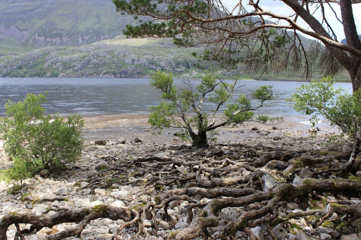 Croisière Spirit of Loch Ness ou Deepscan : comparatif