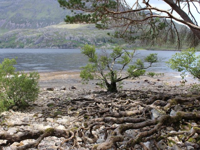 Croisière Spirit of Loch Ness ou Deepscan : comparatif