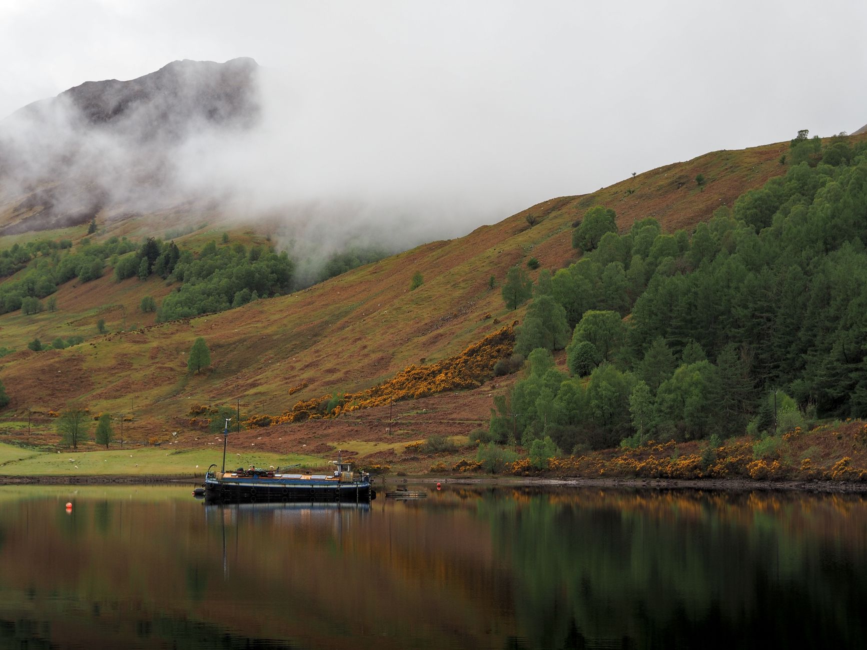 Meilleurs tours en bateau sur le Loch Ness